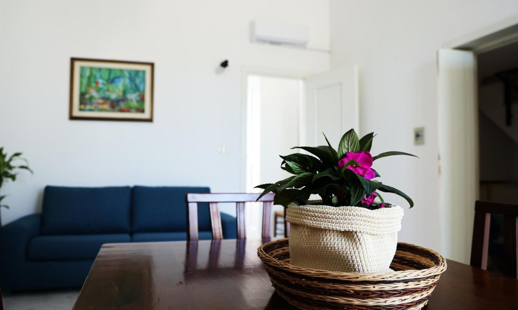 Appartement Terrazza Sul Mare *