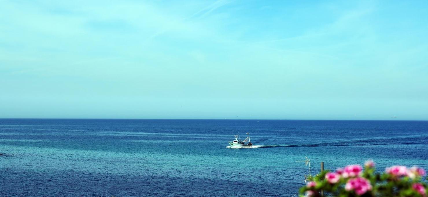 Appartamento Terrazza Sul Mare